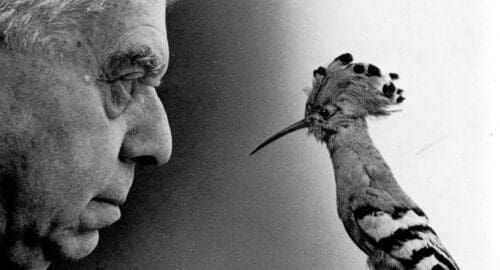 Eugenio Montale together with a hoopoe