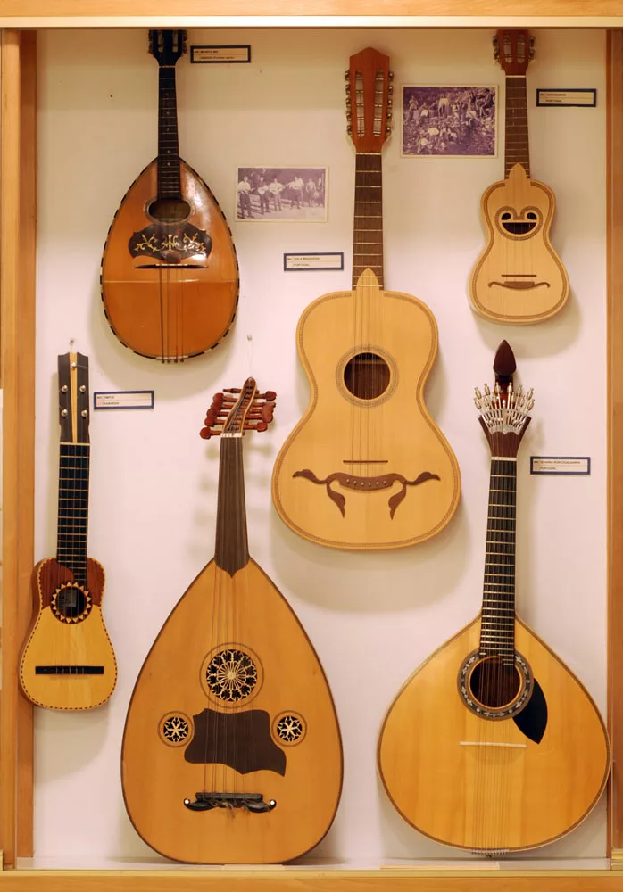 String instrument display that also includes a lute and two different guitars