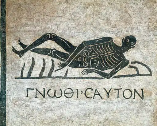 Conosci te stesso Giuseppe Bonaccorso Conosci te stesso in un mosaico greco